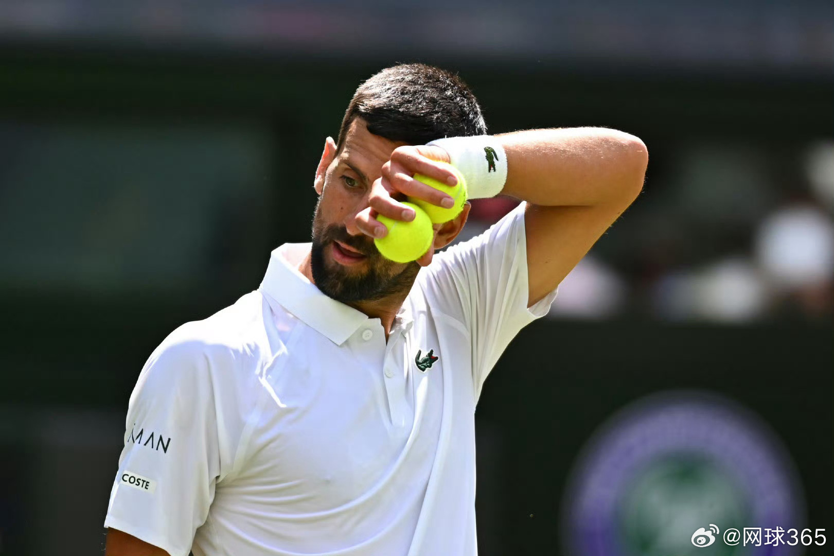 年终总决赛力克温网,德约科维奇点燃赛场 年终总决赛力克温网,德约科维奇点燃赛场