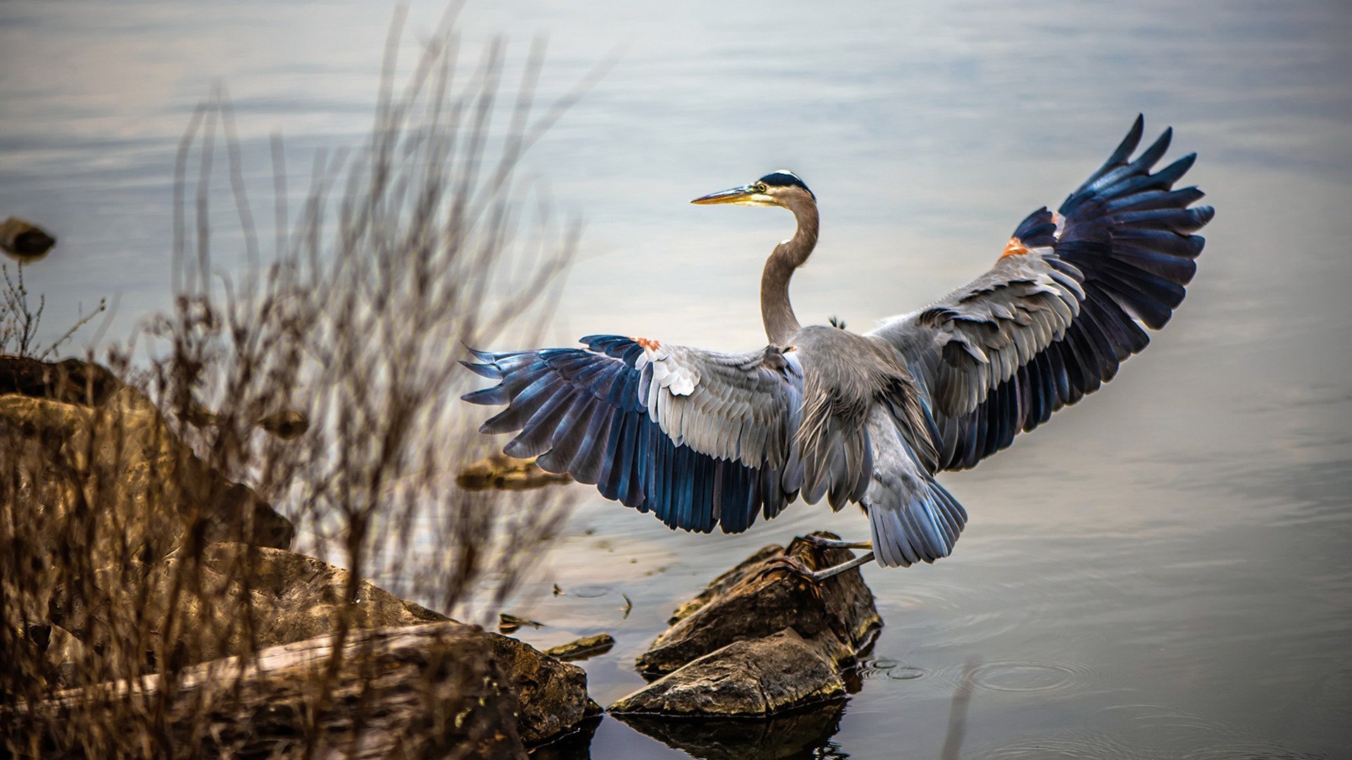 绿茵场上的季后赛之夜，萨拉赫完美发挥诠释何为关键先生