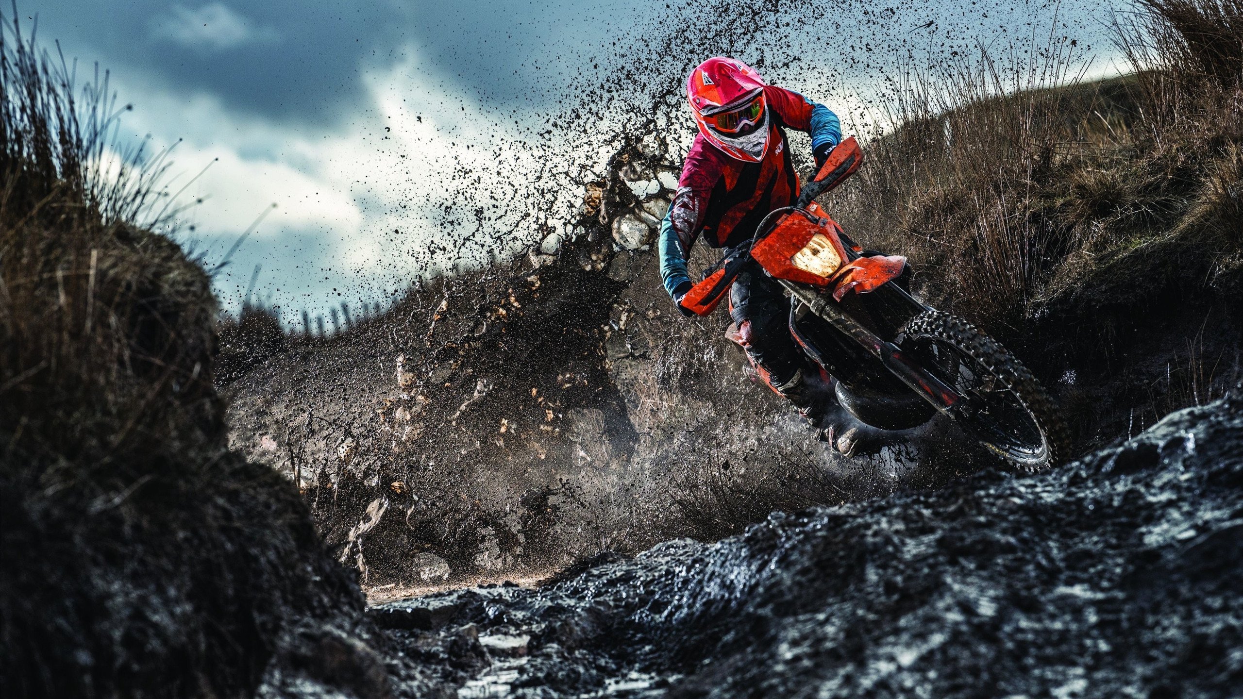 哈利伯顿个人能力完全展现，尼克斯火力压制活塞