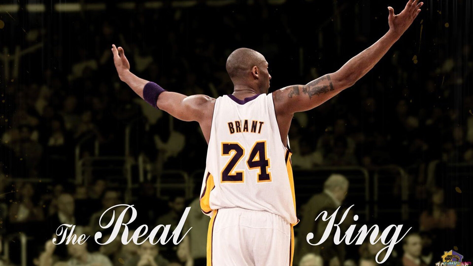 英超争冠焦点战与雄鹿强势拿下吉林队，竞技体育的激情交响